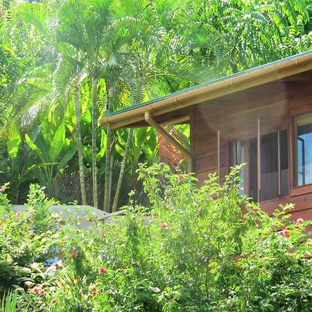 Апартаменти Castara Retreats Номер фото